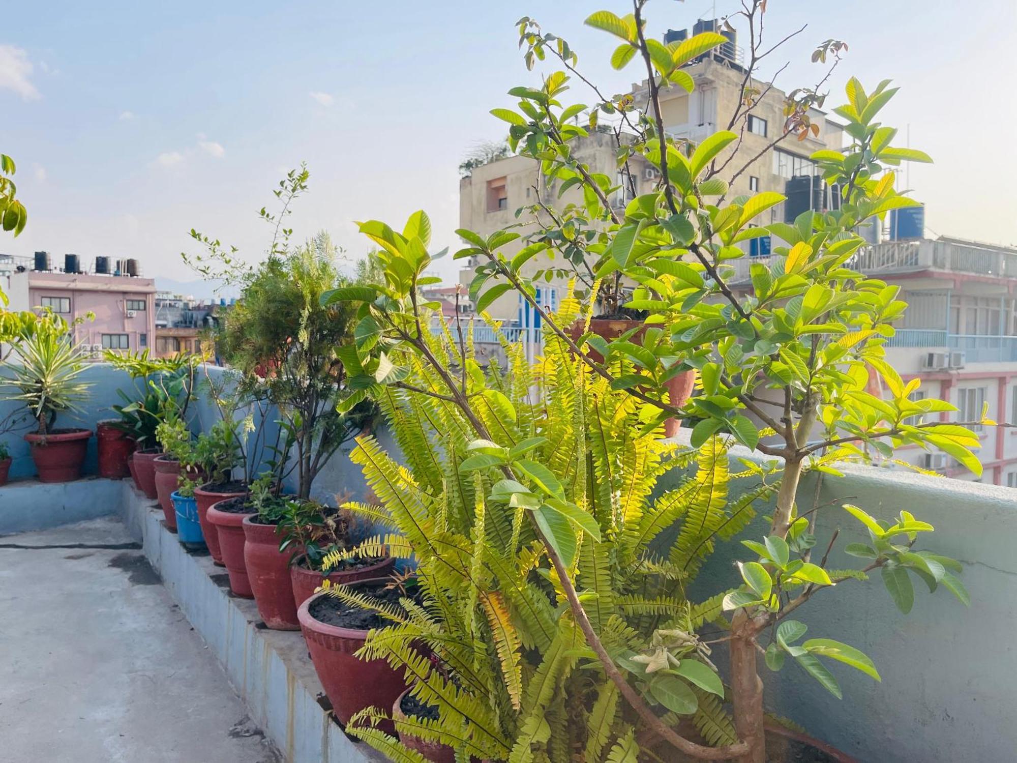 كاتماندو Holy Land Hotel Nepal المظهر الخارجي الصورة
