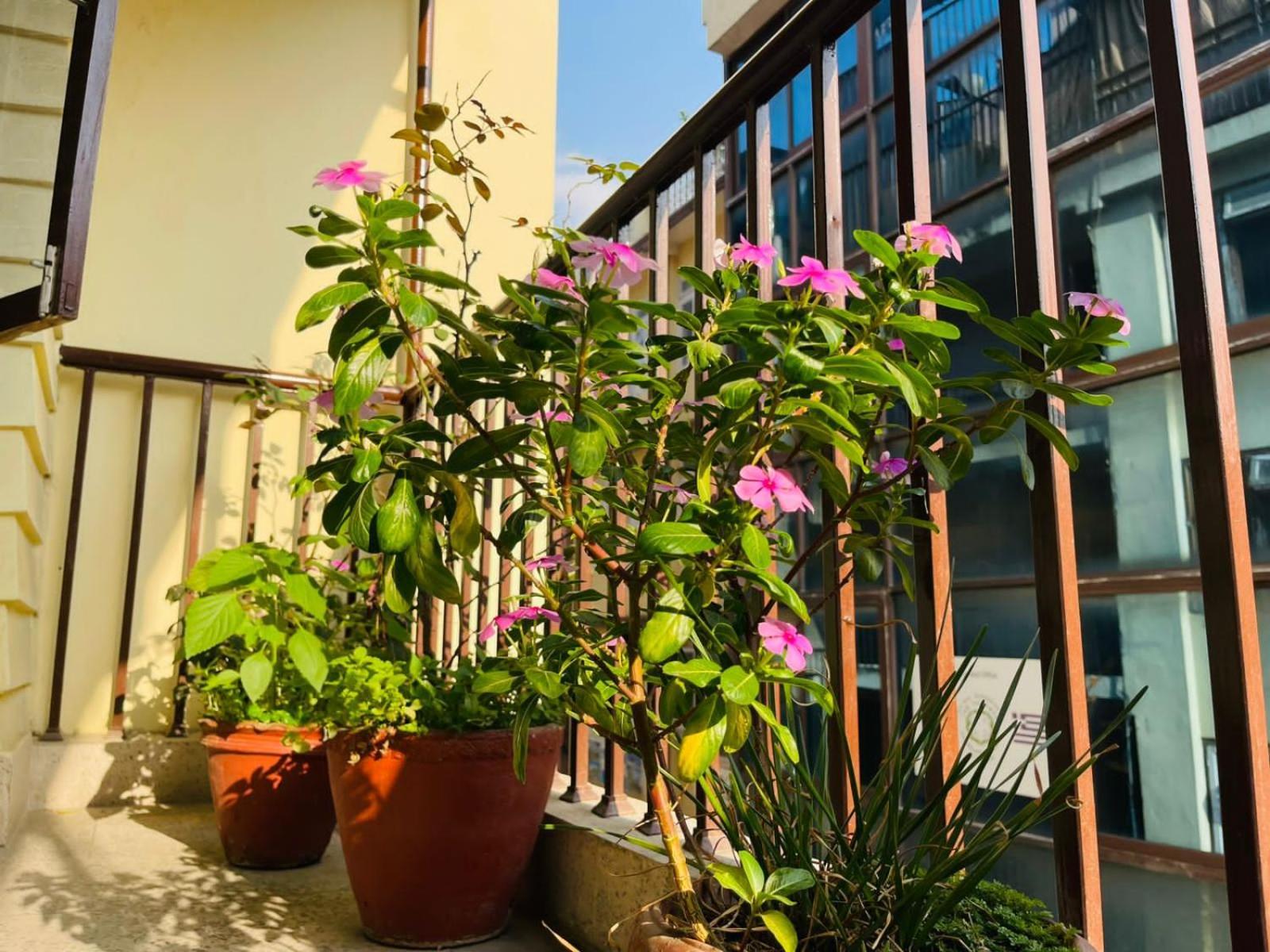 كاتماندو Holy Land Hotel Nepal المظهر الخارجي الصورة